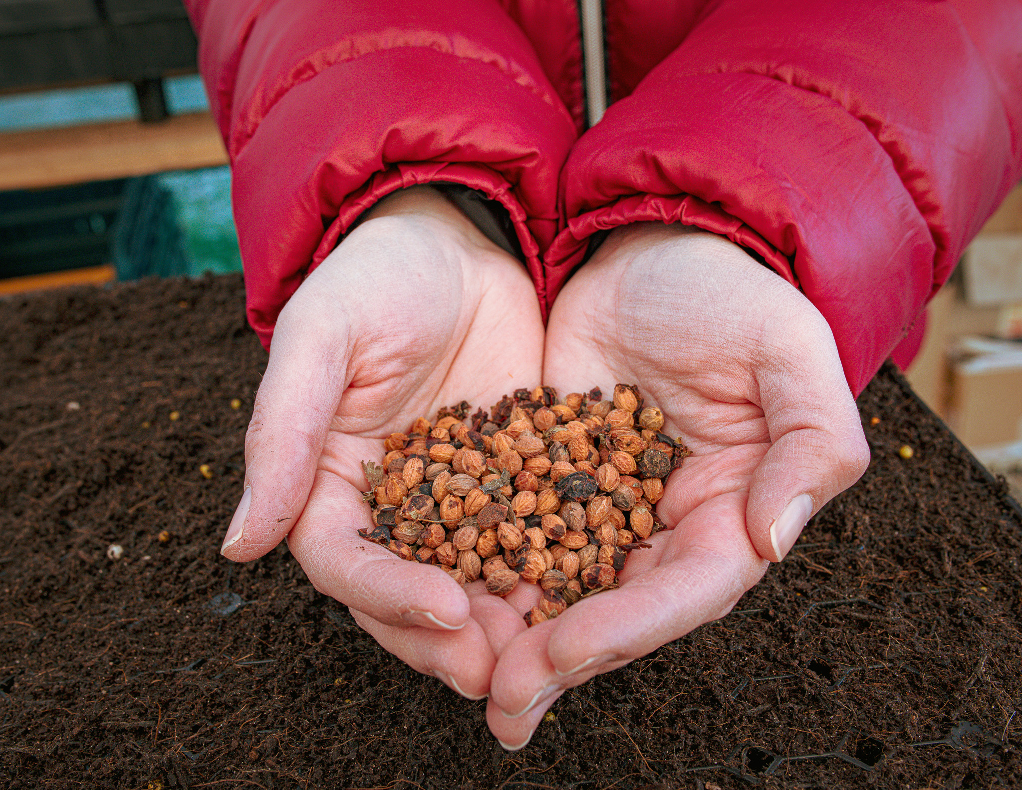 Darroch Nurseries: Planting the right tree in the right place for the right reasons.