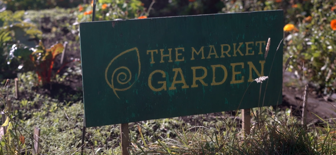 LaunchMe: Earth In Common