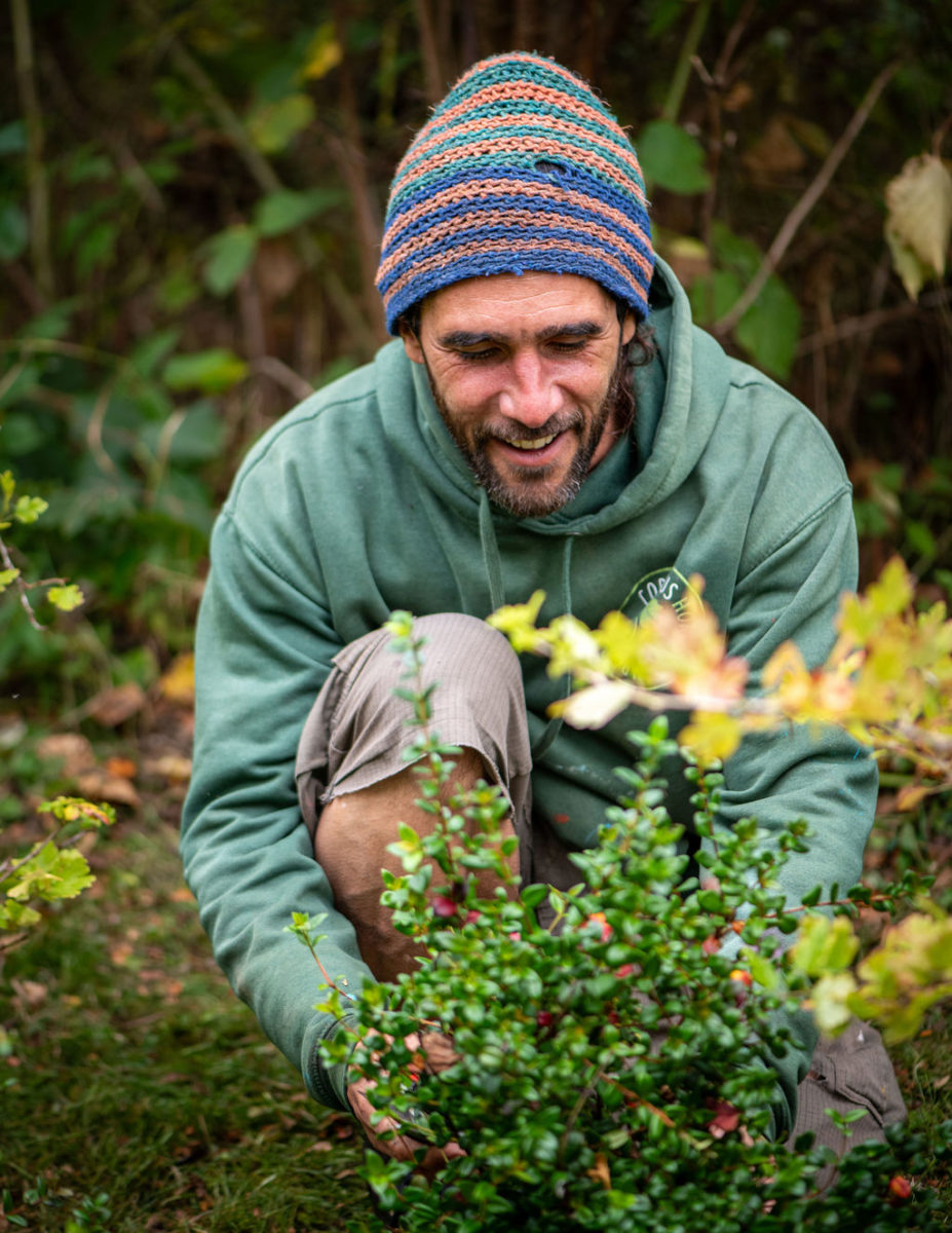 Image of Ed planting shrubs at Corylus Horticulture