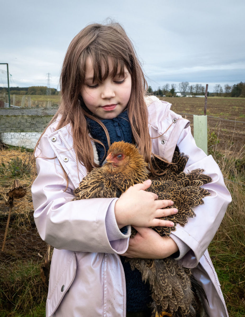 Image of young person holding a chicken at The Paddock Broom of Moy CIC