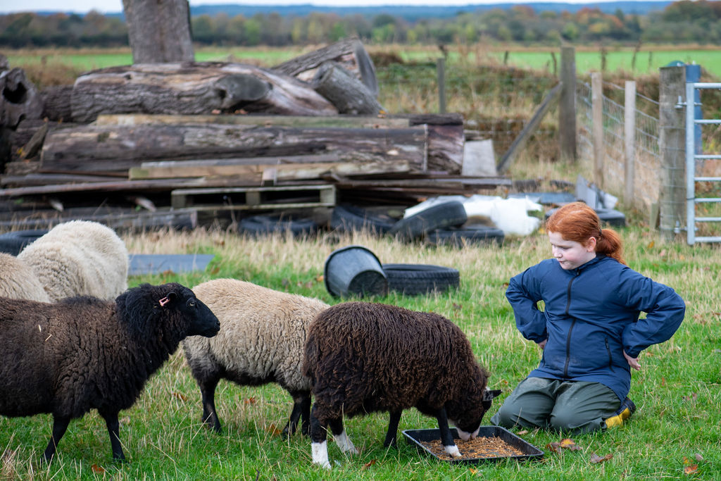 Creating Inclusive Learning in Moray: The Paddock Broom of Moy CIC